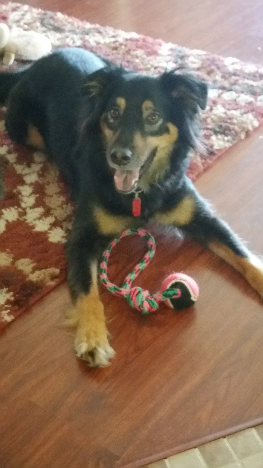 My Happy Girl.... Molly