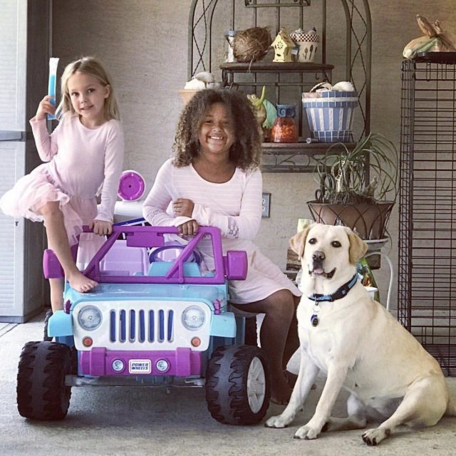 Everyone Sit Pretty, Say "CHEESE". #piperthelabradoronpoint