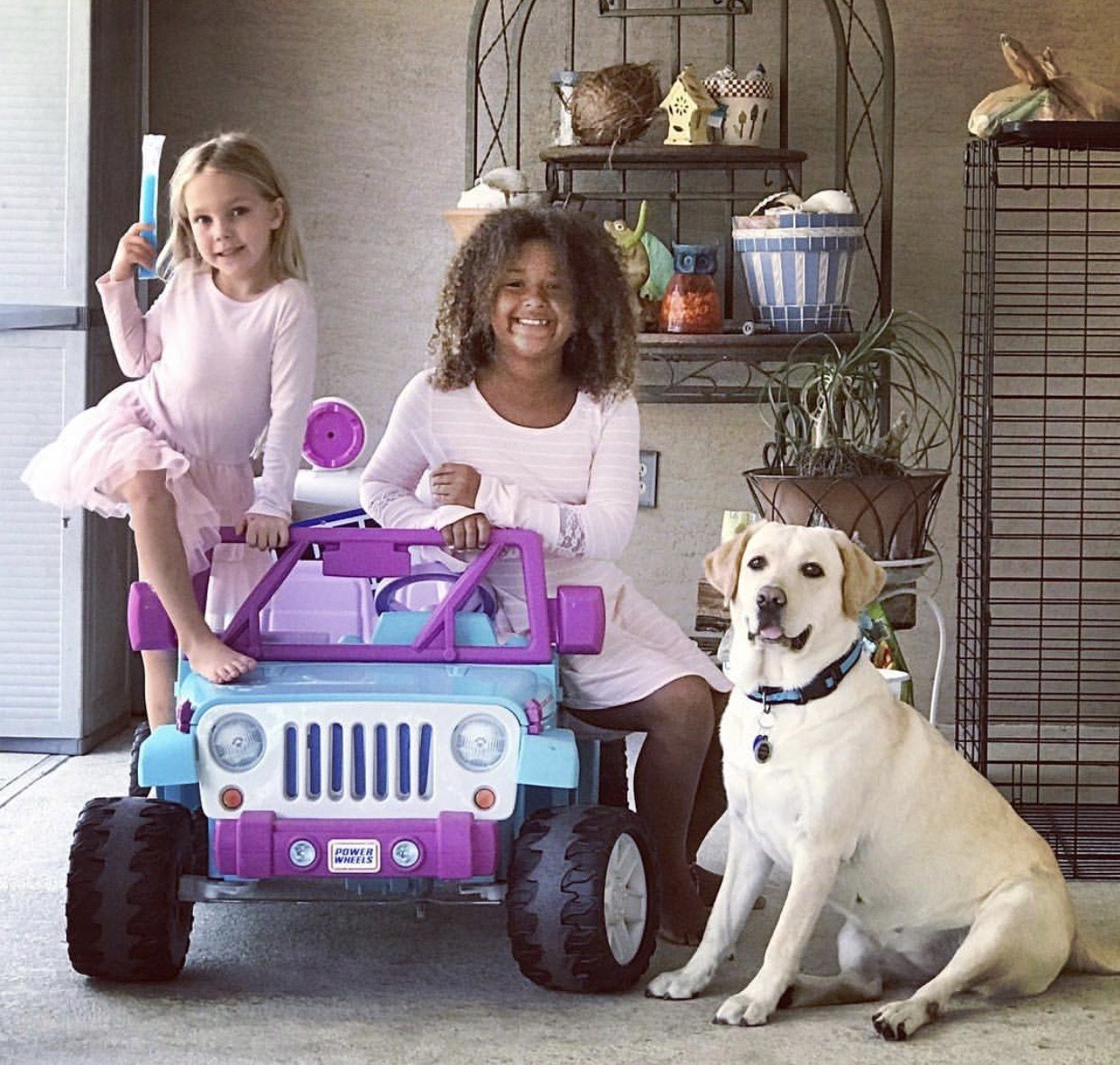 Everyone Sit Pretty, Say "CHEESE". #piperthelabradoronpoint