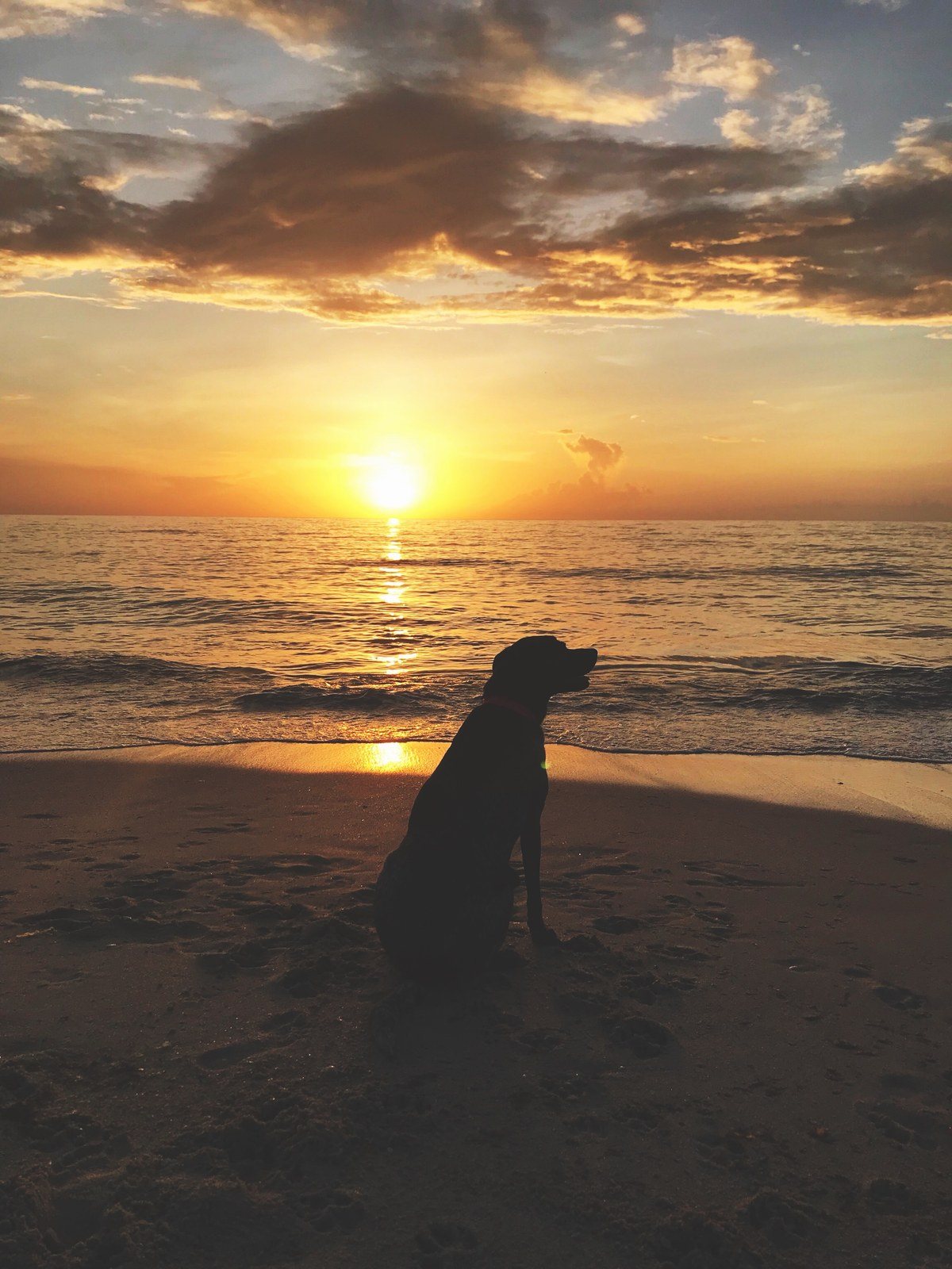 She Thought The Sunrise Was Pretty, But I Thought She Was Prettier