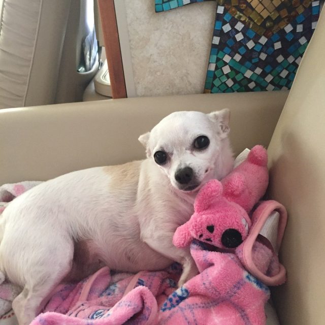 I Love Pink