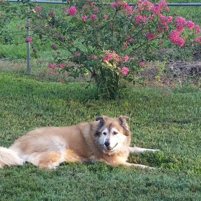 Just Resting