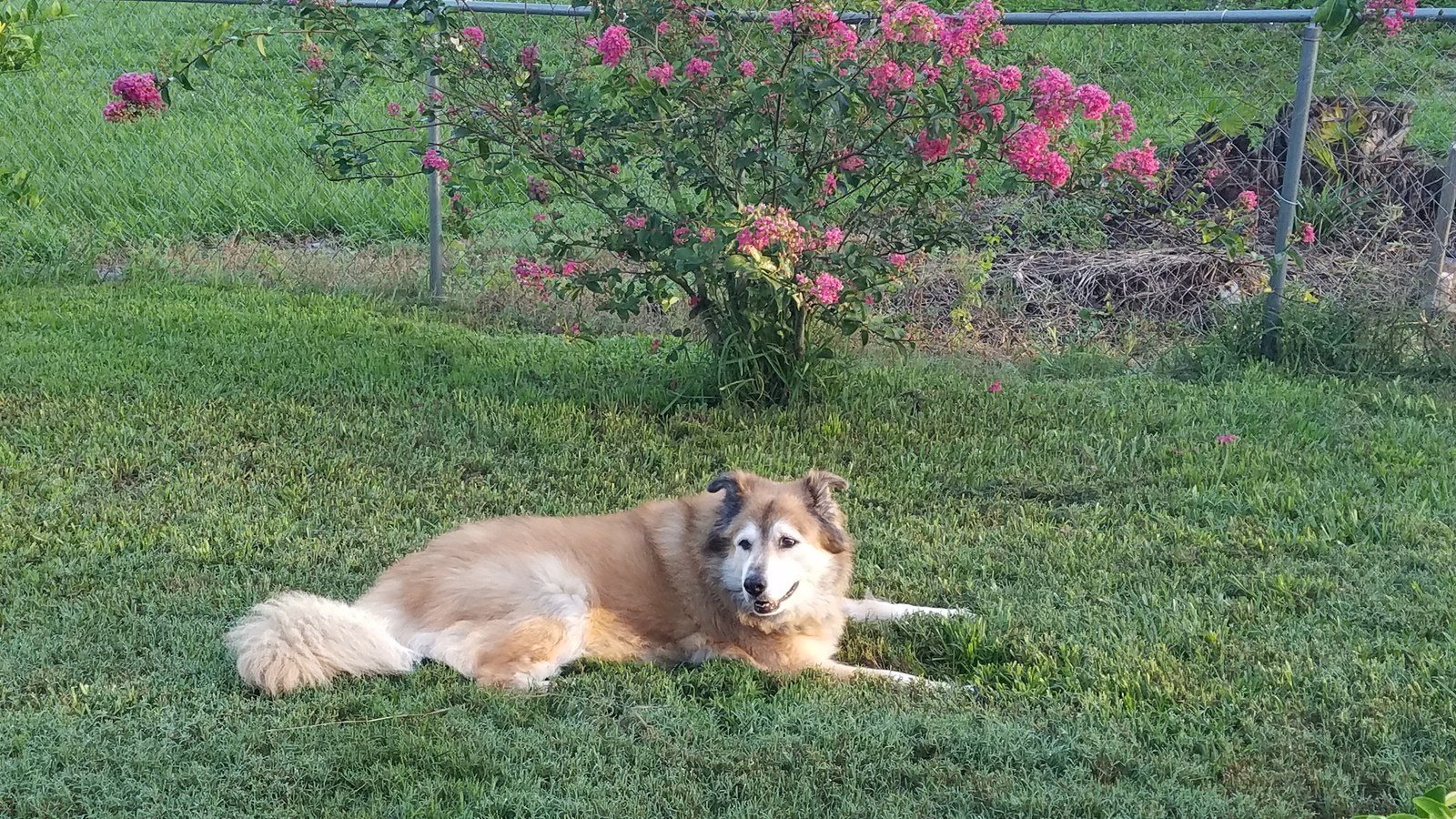 Just Resting