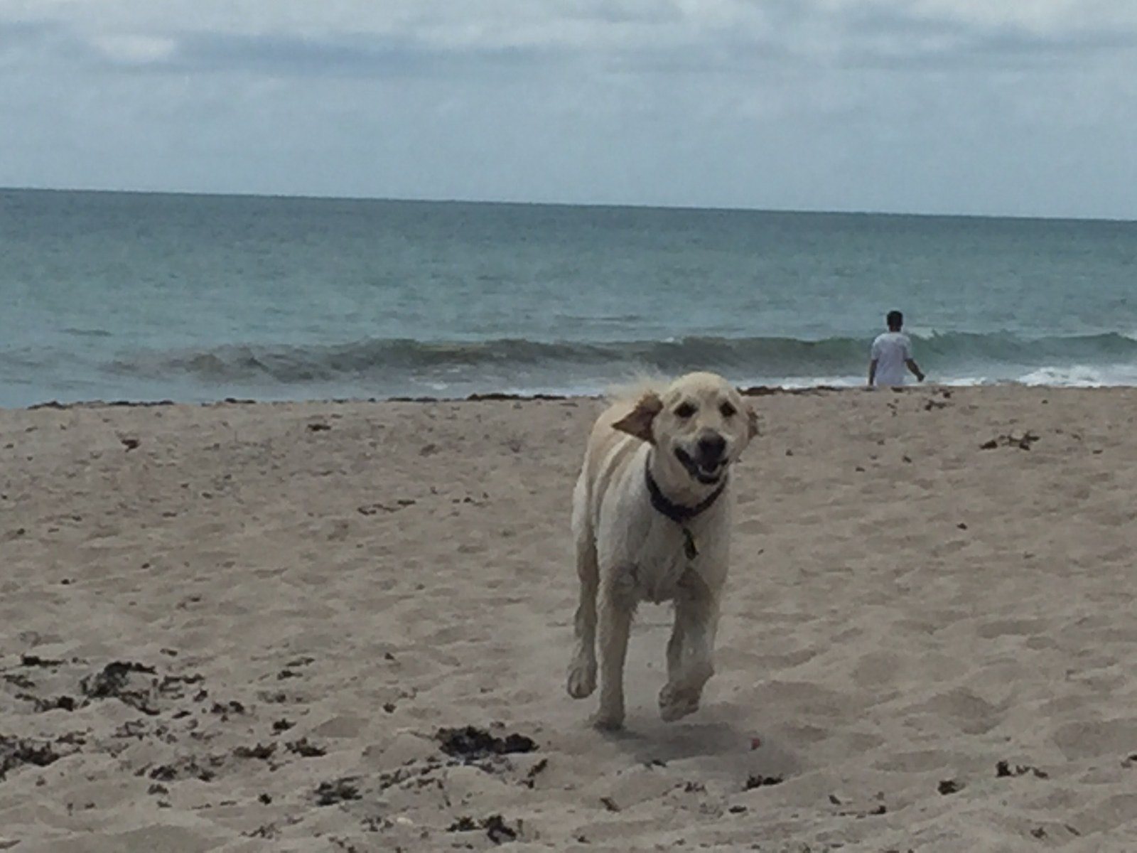 Beach Laps