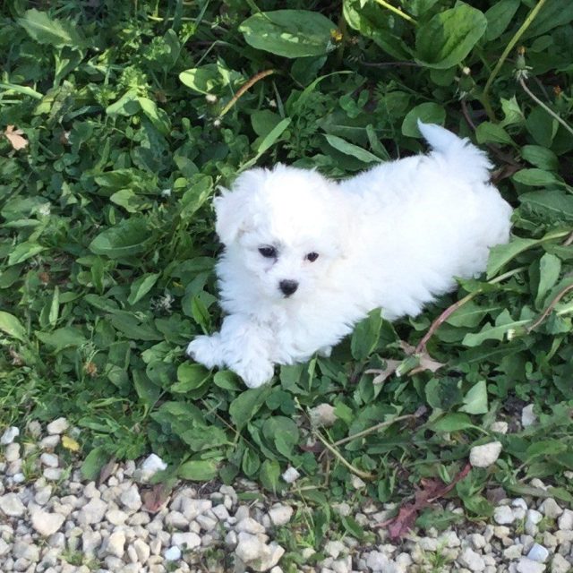 Pretty Daisy!