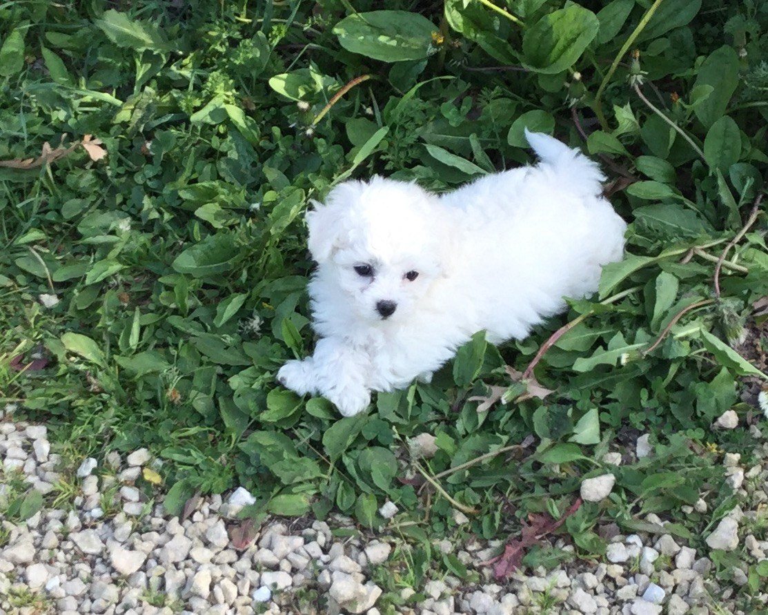 Pretty Daisy!
