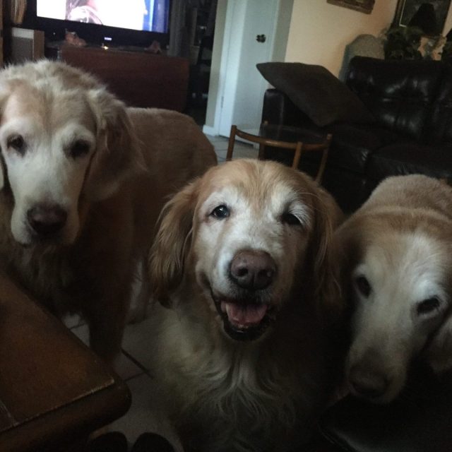 Can We Have Some Mom?