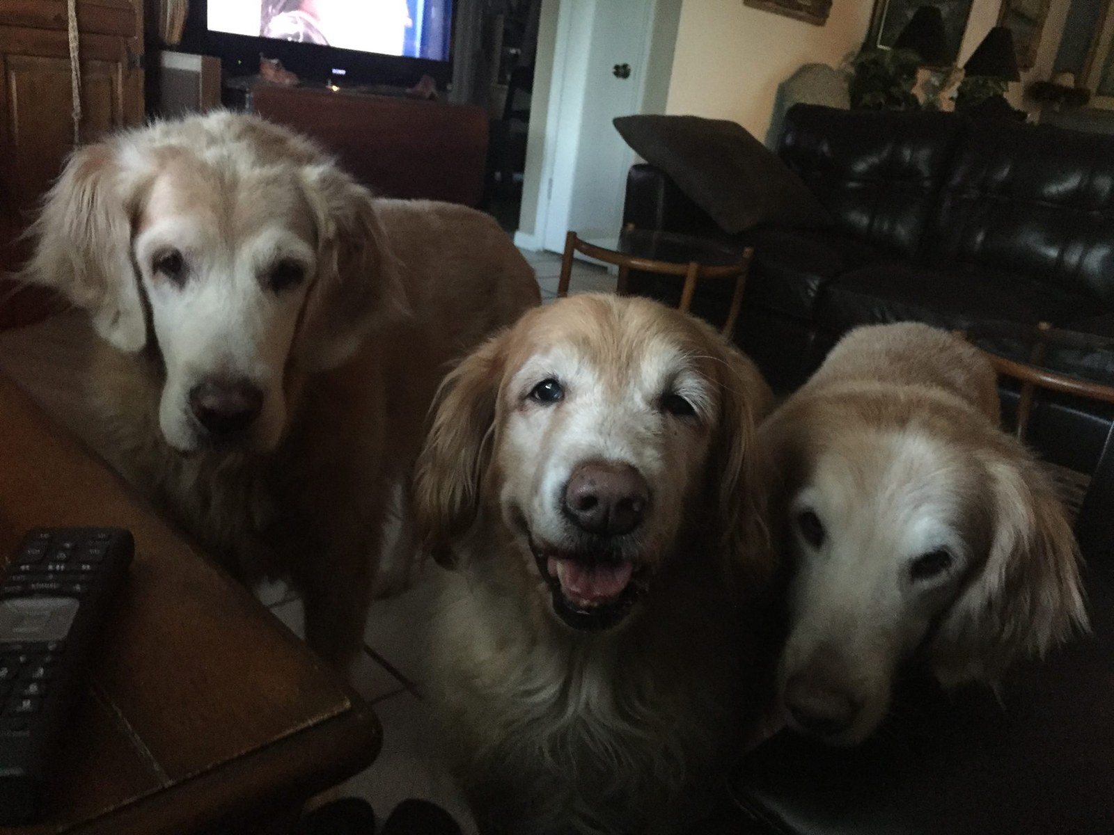 Can We Have Some Mom?