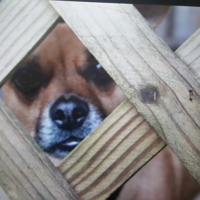 Can I Come Out Yet?