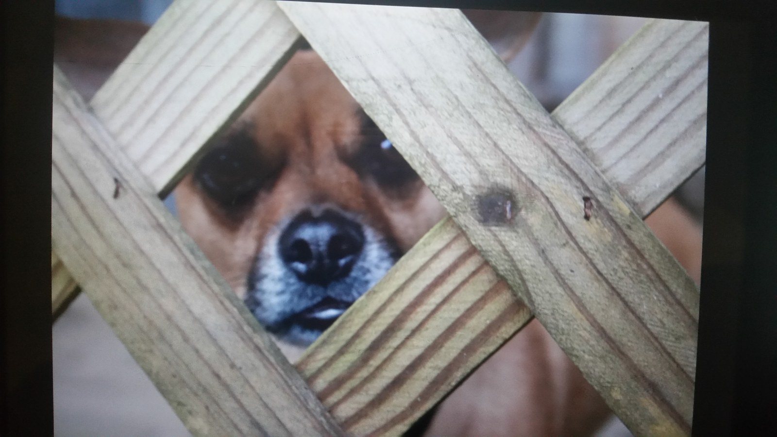 Can I Come Out Yet?
