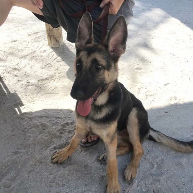 Baby Days