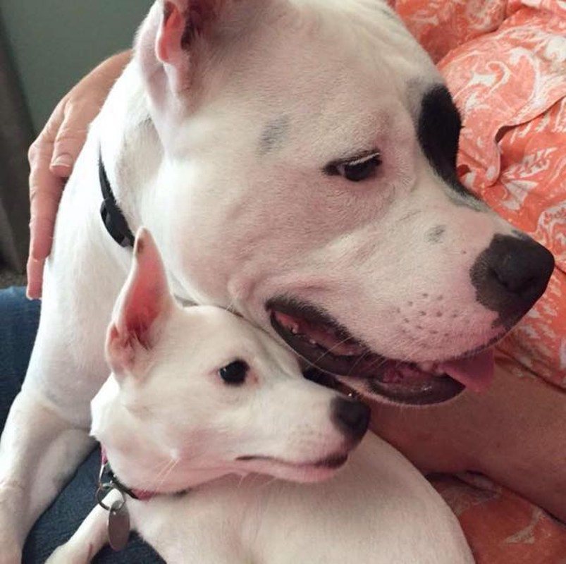 Double Trouble
