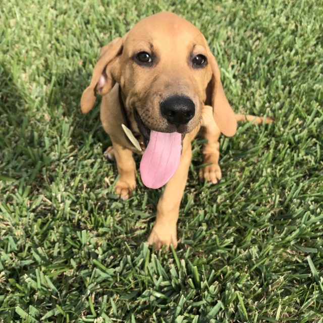 Hi :)