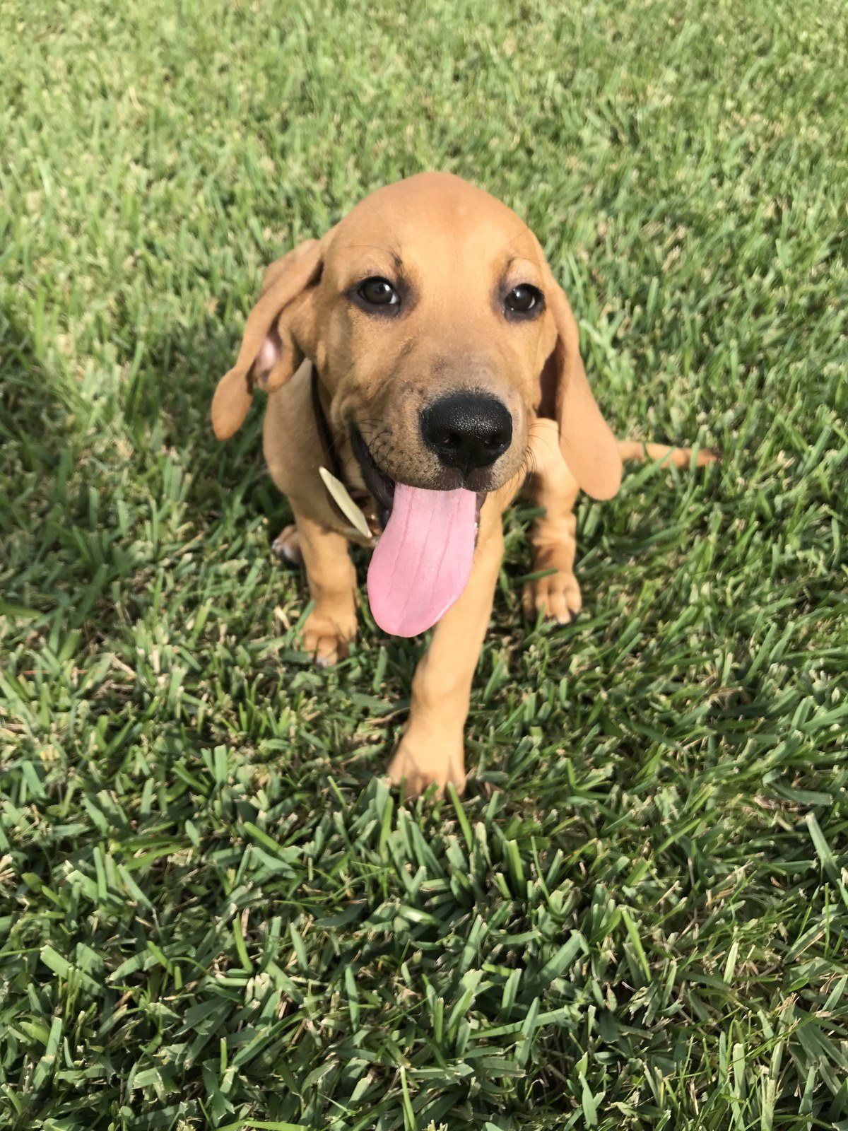 Hi :)