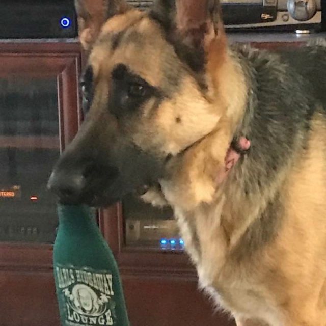 Don't Forget Your Coozie Daddy
