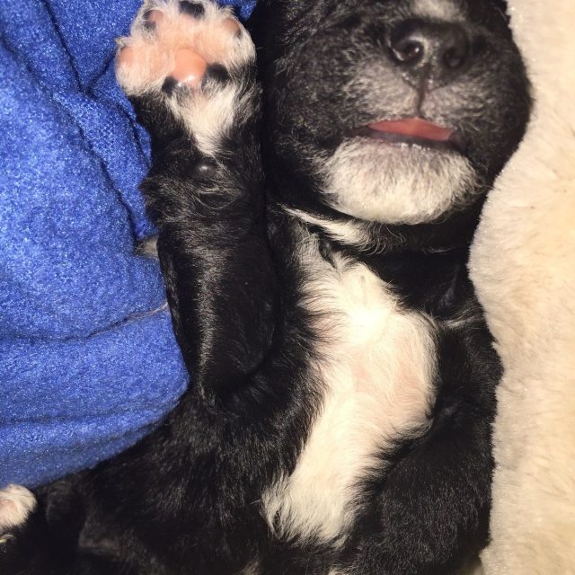 How About A High Five