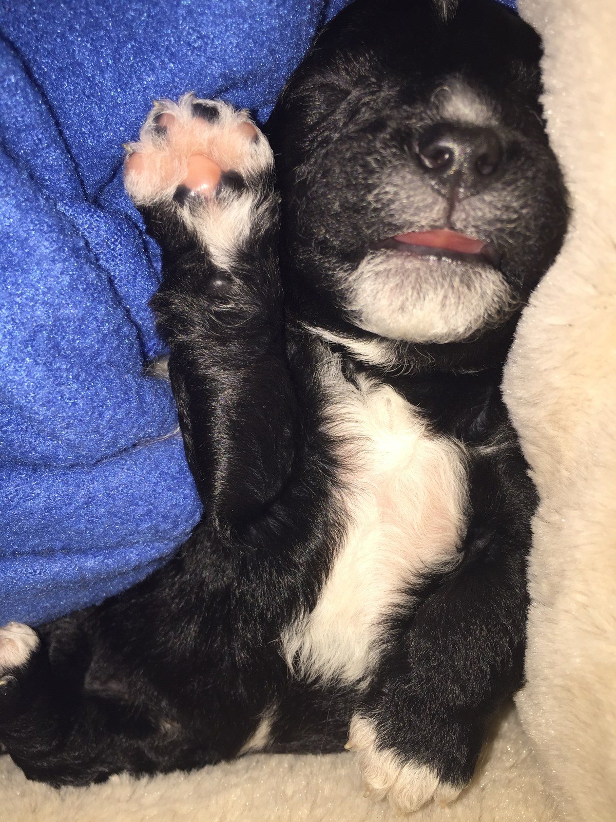How About A High Five