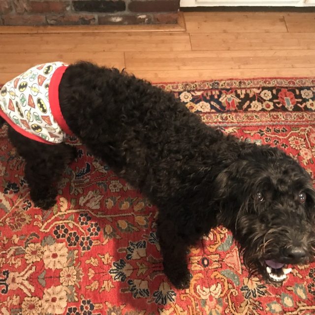 Super Doodle: Duke Of Such & Such