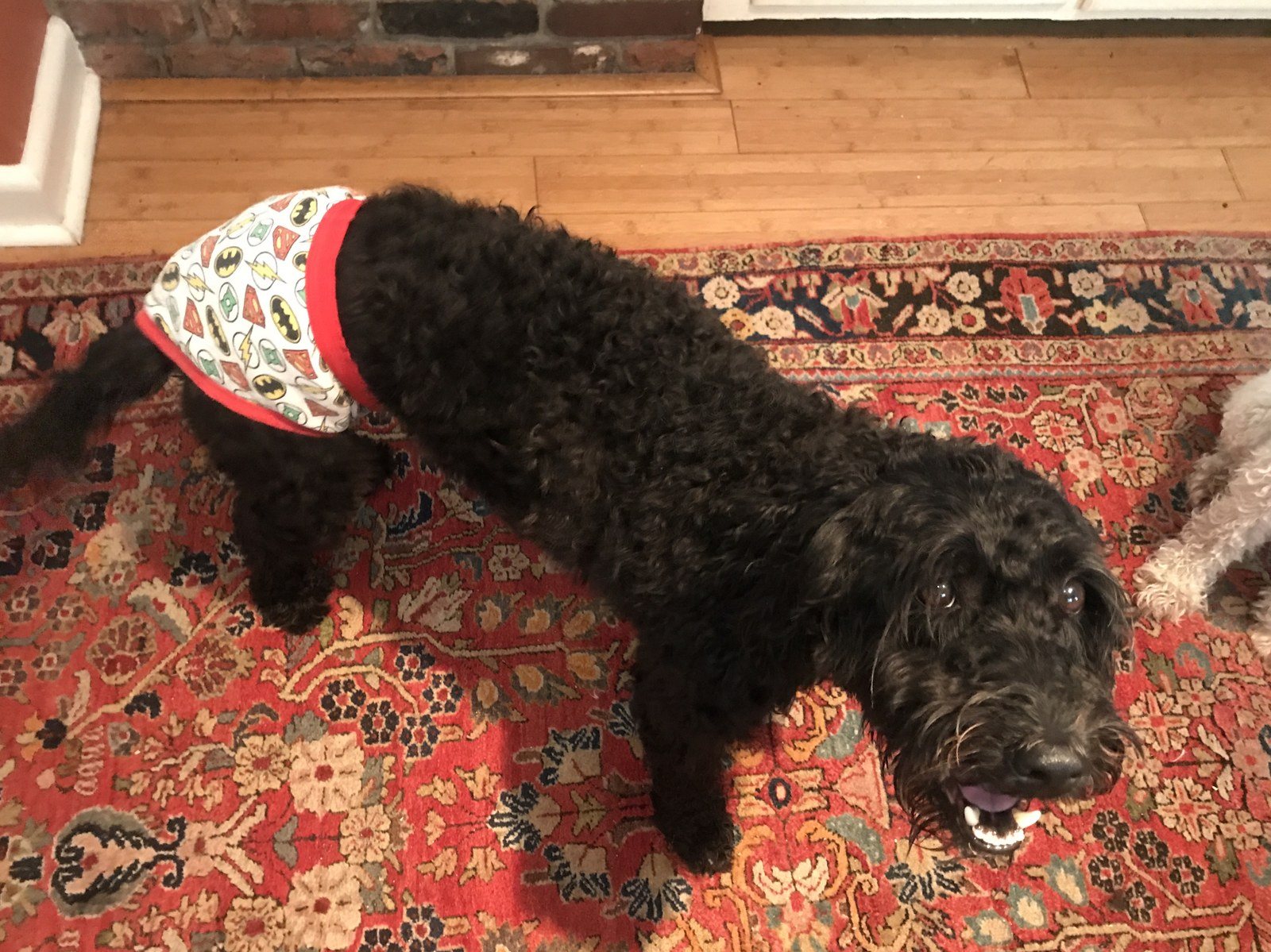 Super Doodle: Duke Of Such & Such