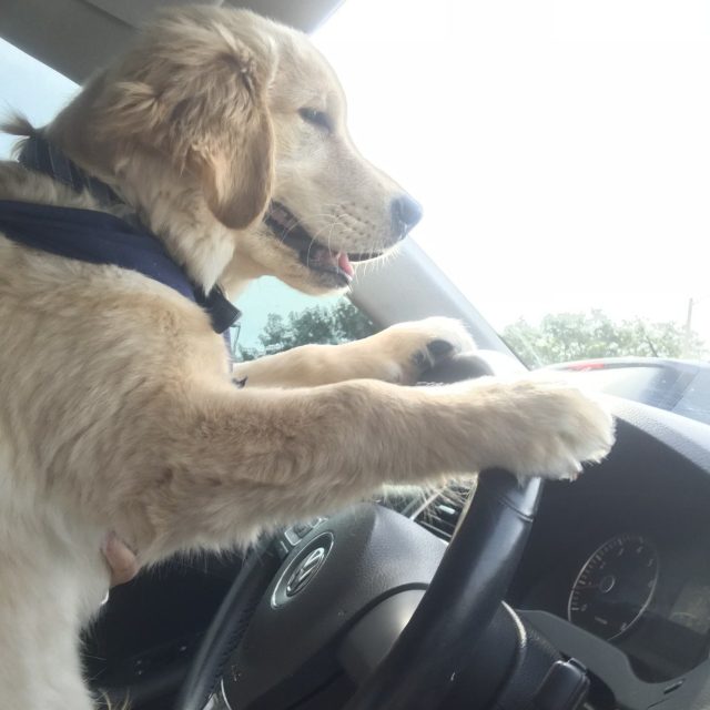 Eyes On The Road