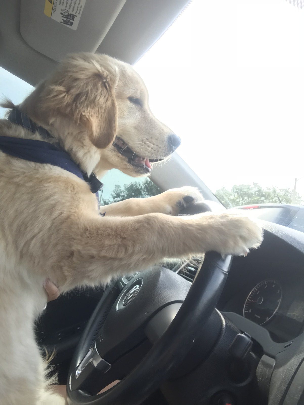 Eyes On The Road