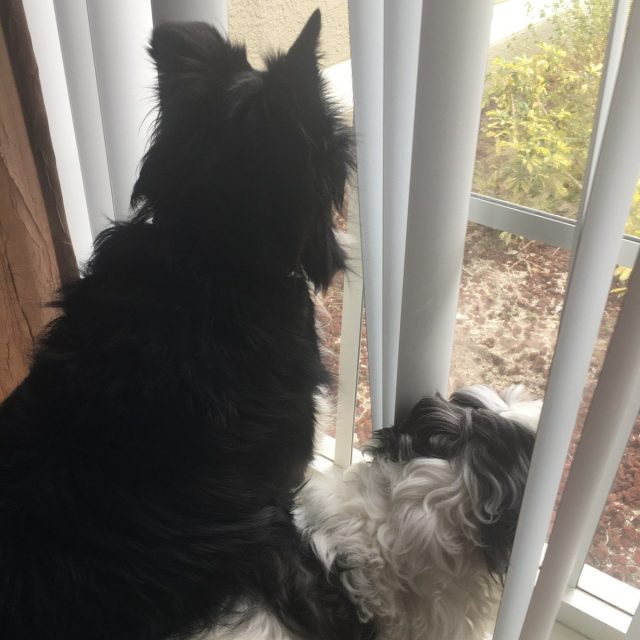 Take Us