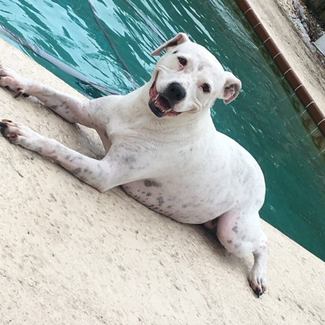 Sunbathing