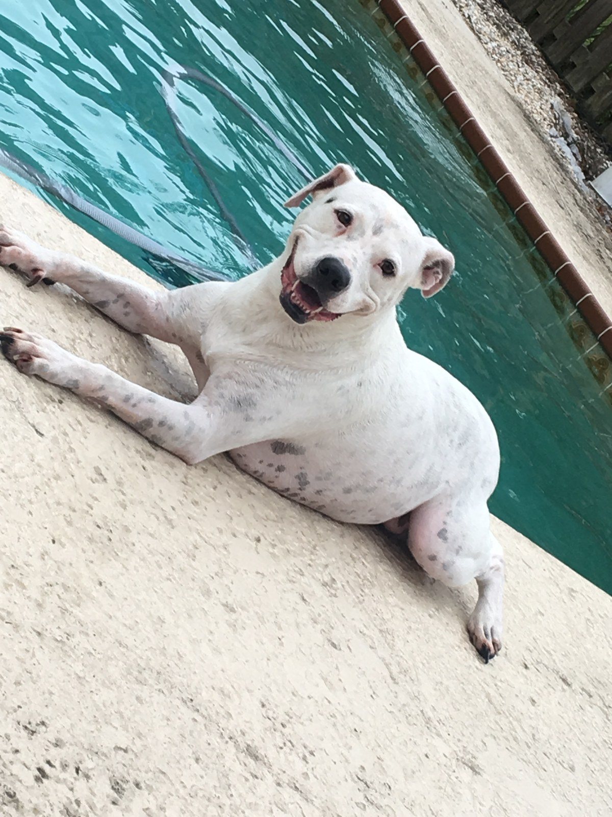 Sunbathing