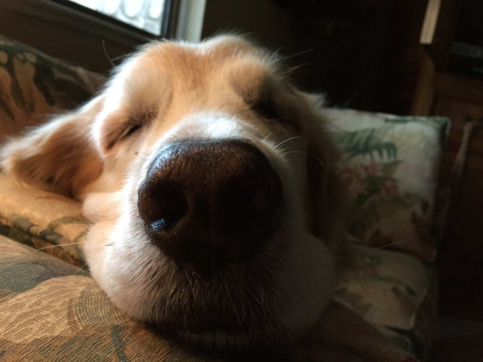 The Nose Knows!