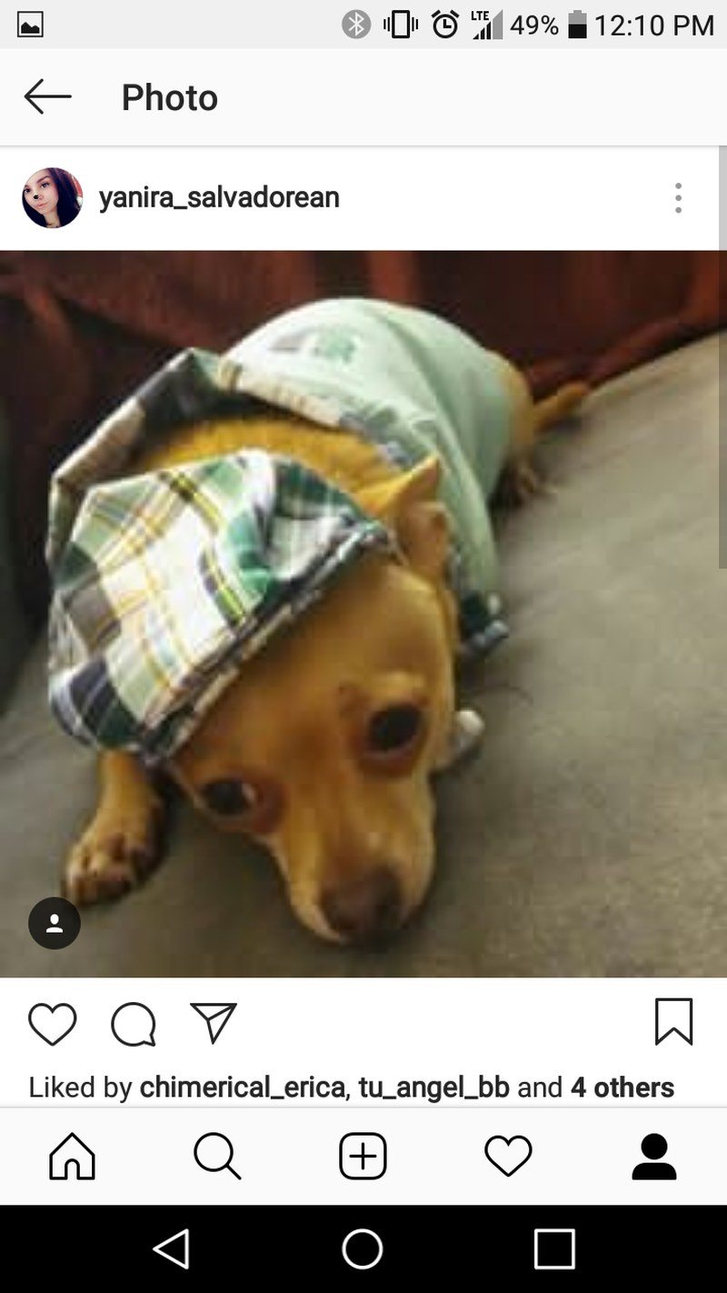 Handsome Boy