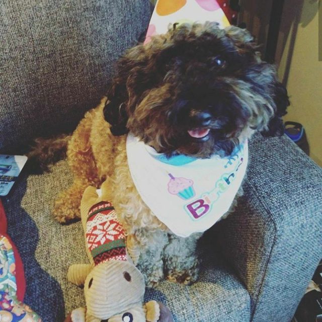 Baby's Birthday