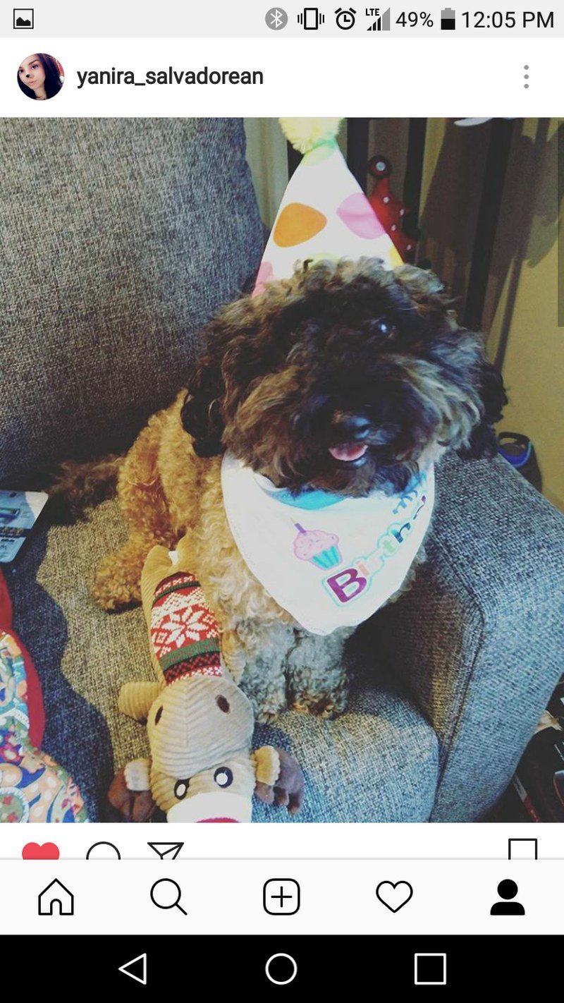 Baby's Birthday