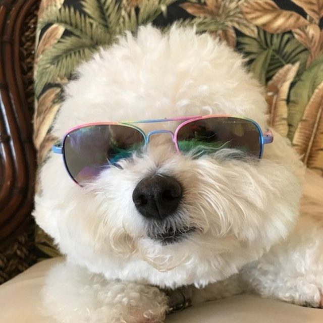Max's Vero Vibes