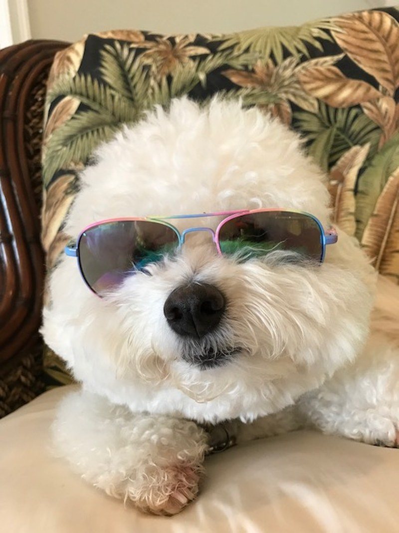 Max's Vero Vibes