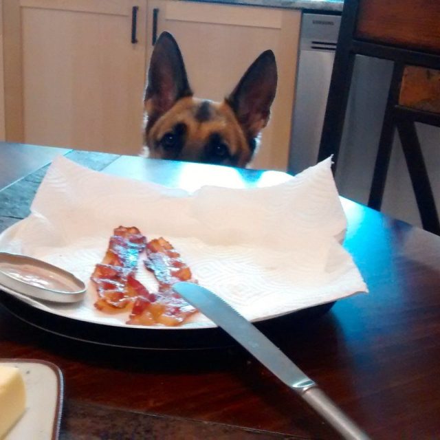 MMMM, Bacon!