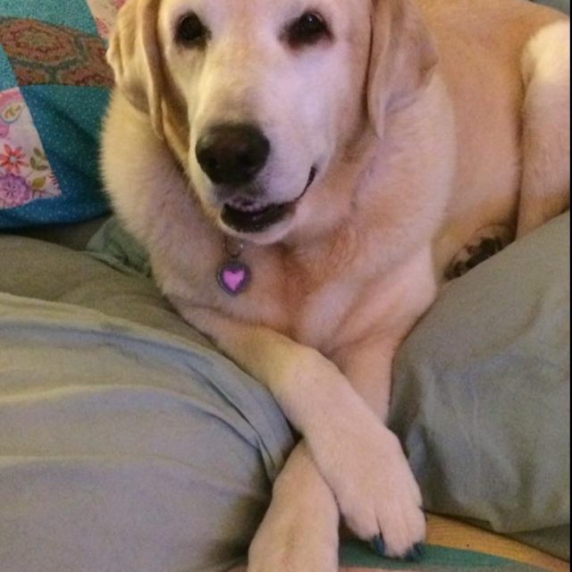 What Do You Think Of My Pedi?