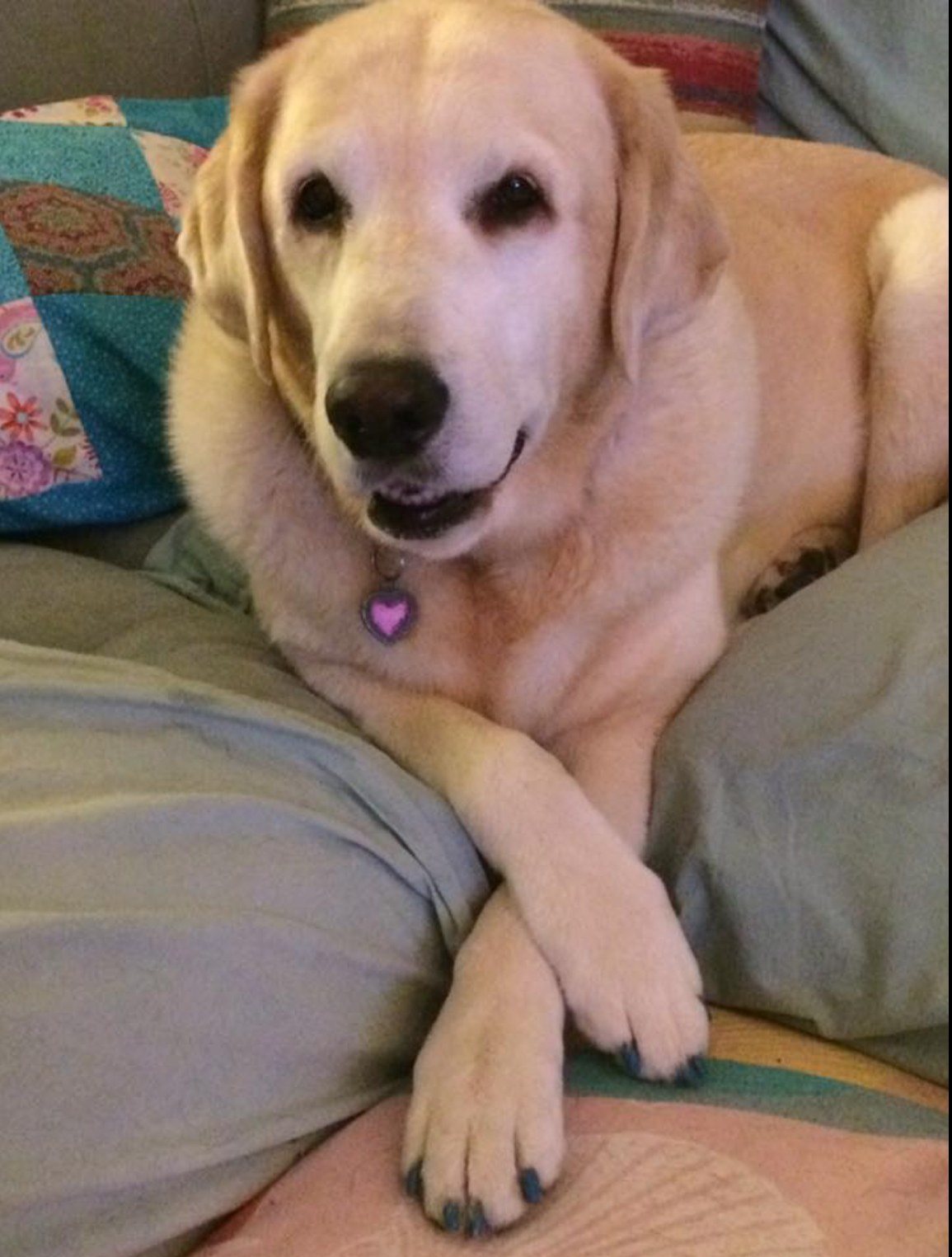 What Do You Think Of My Pedi?