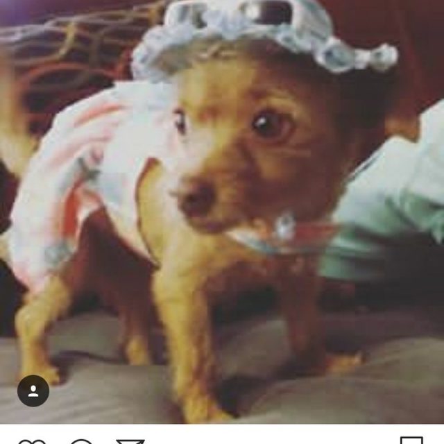 Instagram Model
