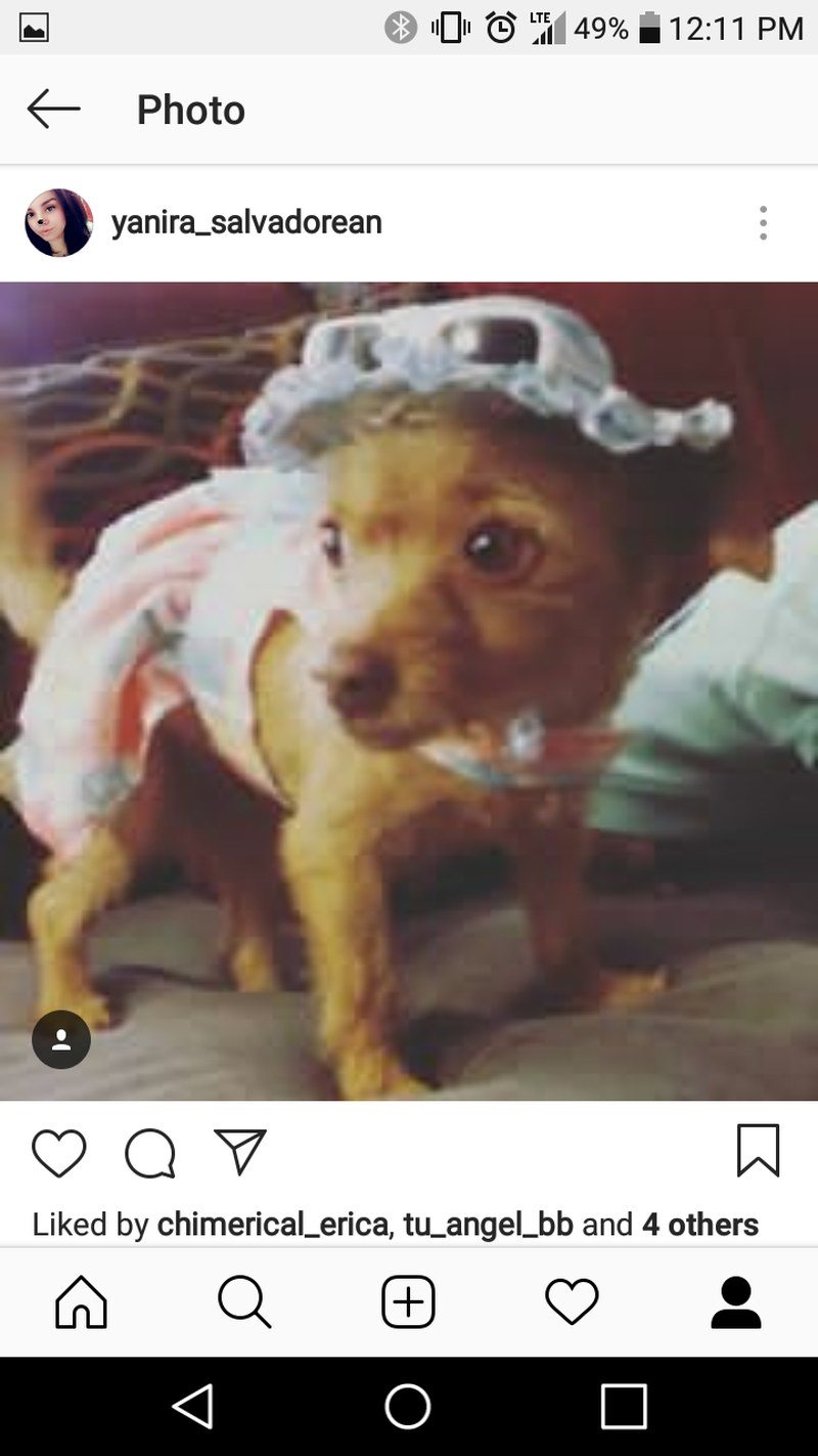 Instagram Model