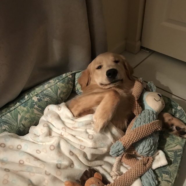 Can You Not I'm Trying To Sleep Here