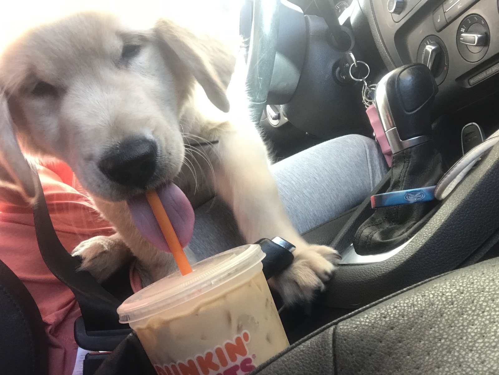 Dunkin Runs Are The Best Runs