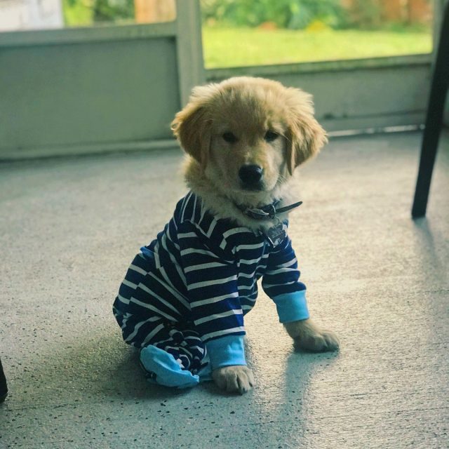 Modeling? Sign Me Up!