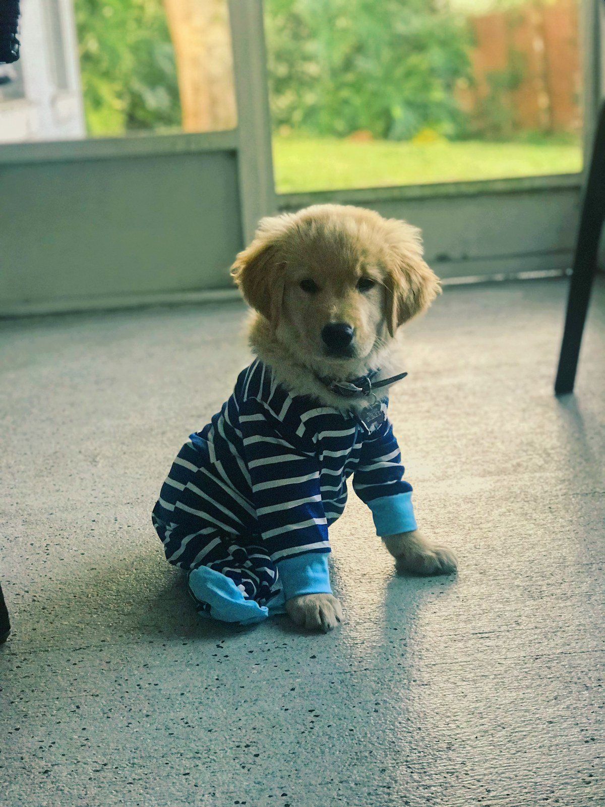 Modeling? Sign Me Up!