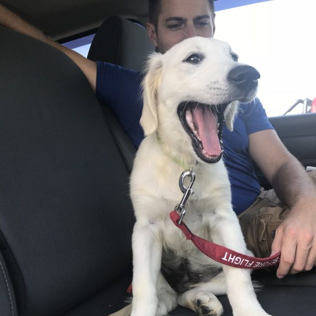 "I'm So Excited To Go To My Forever Home WOWWW!"