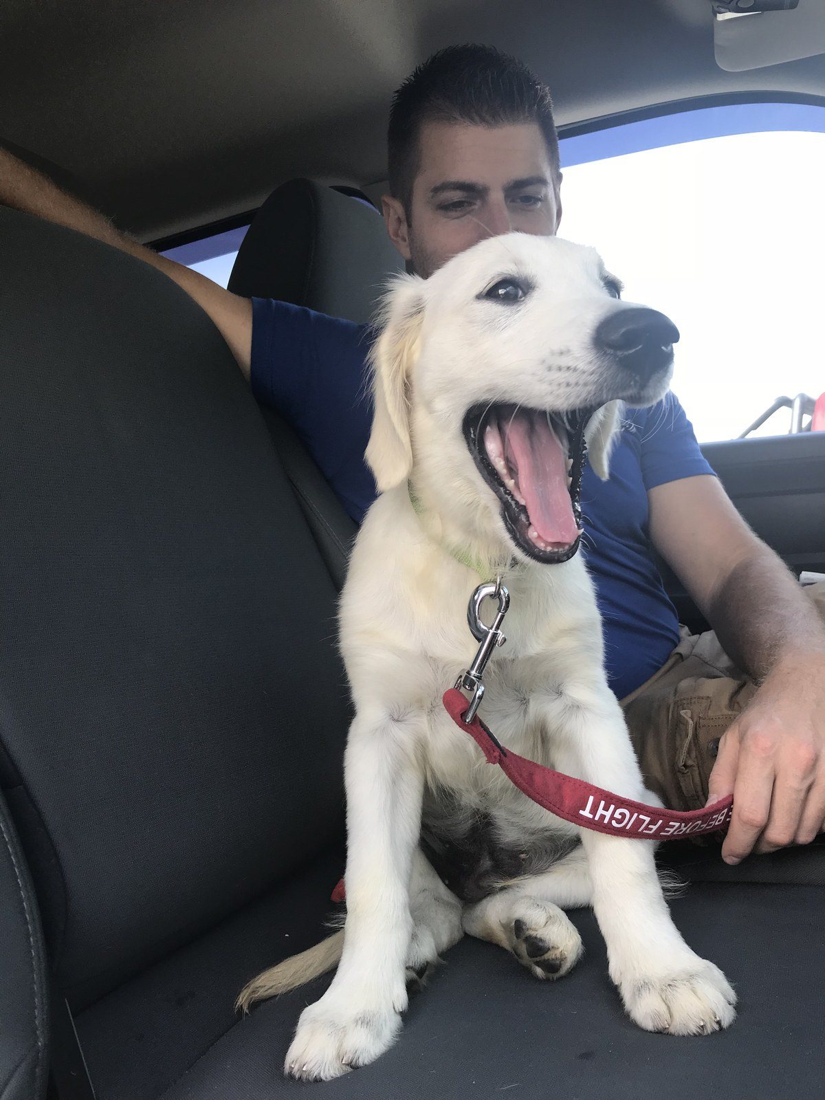 "I'm So Excited To Go To My Forever Home WOWWW!"