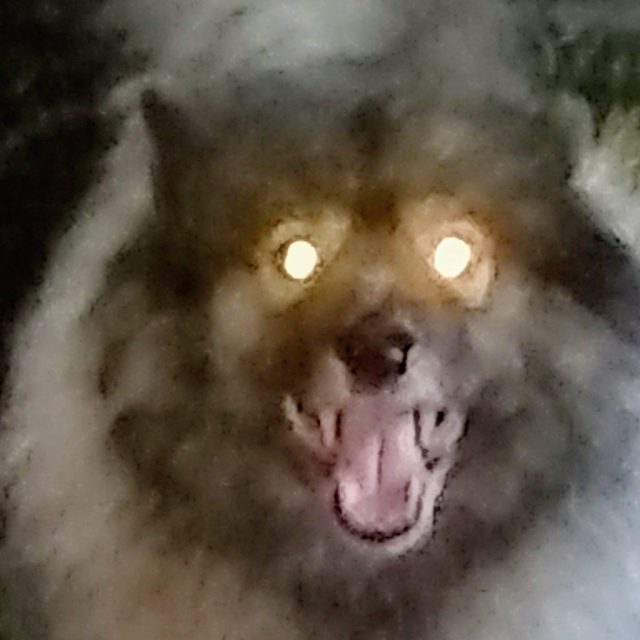 Flash Gone Wild.