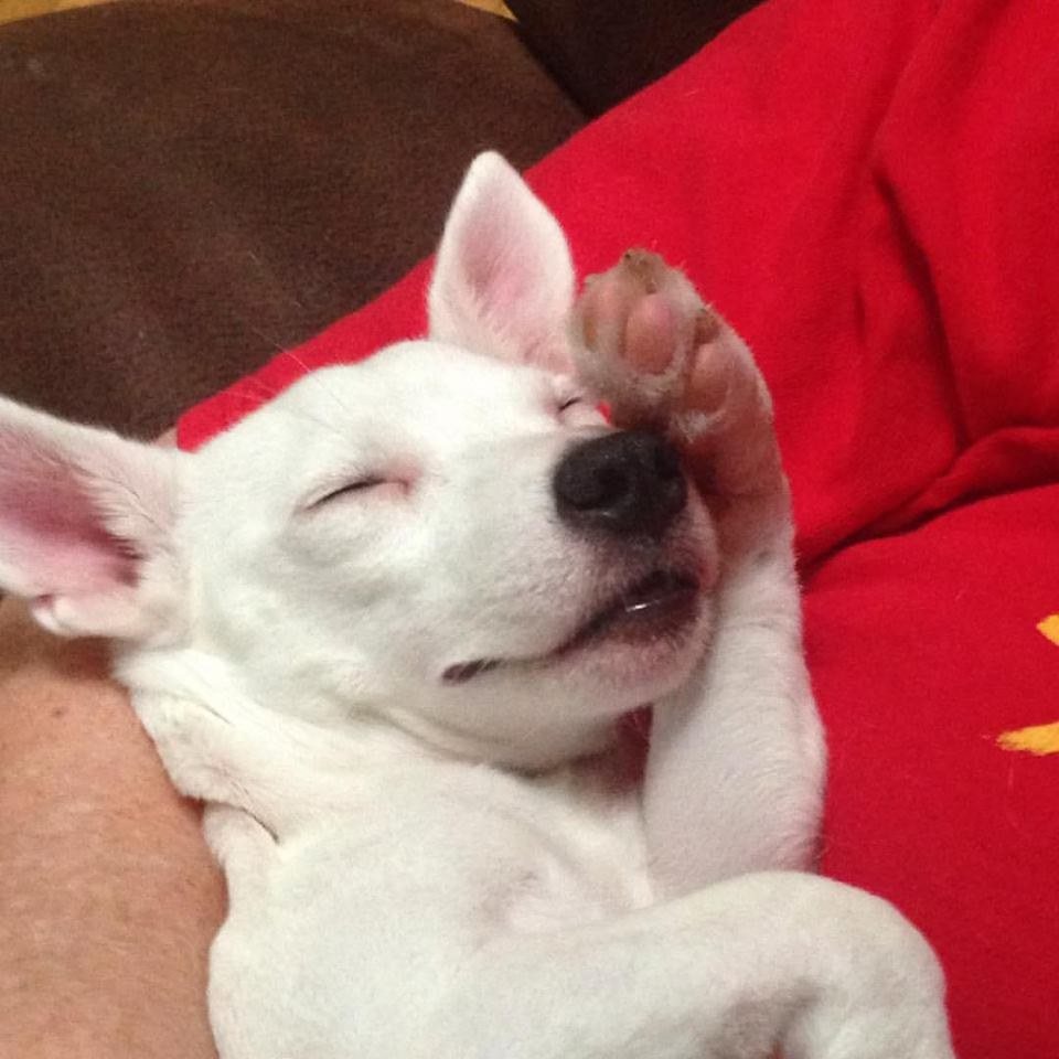 My Sleepy Baby