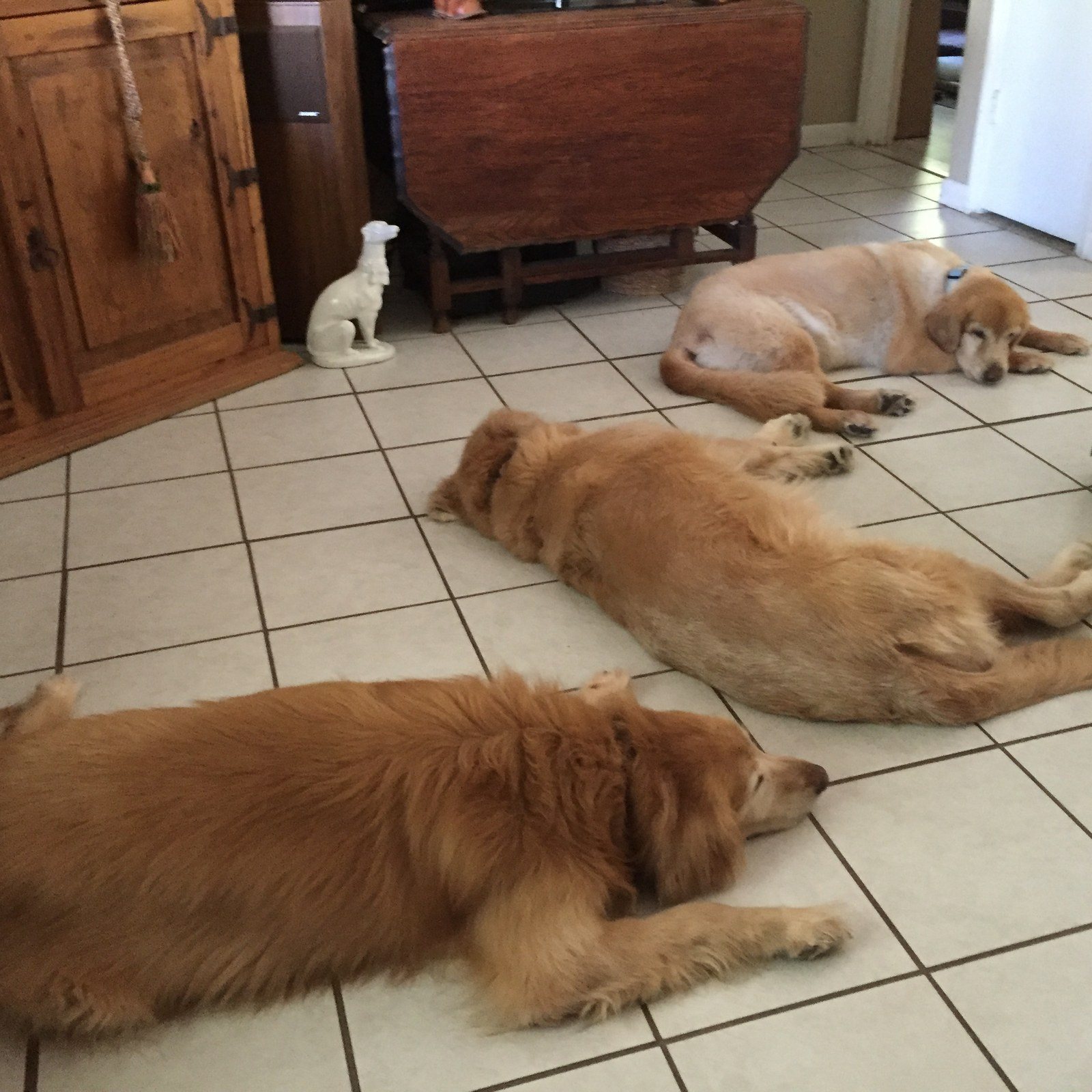 More Golden Scatter Rugs!
