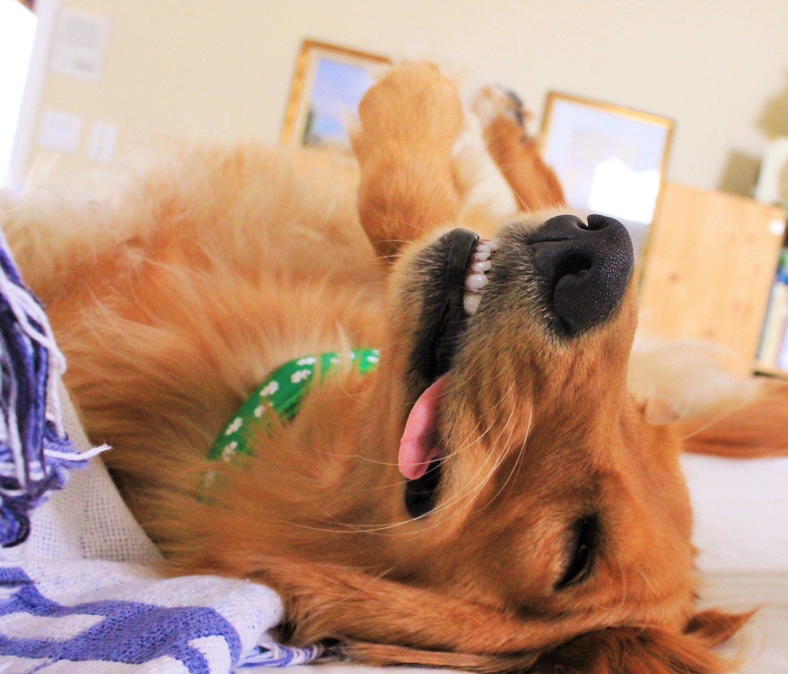 Ms. Murphy On The Day After St. Patrick's Day Parade