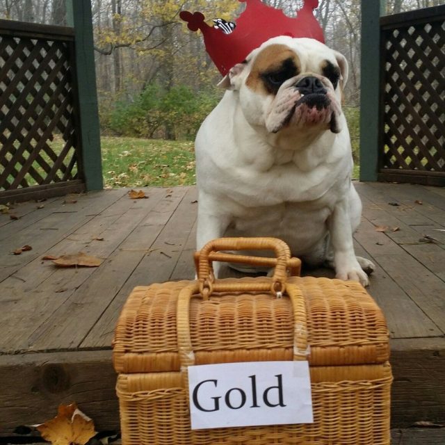Eunice's Love Is Worth Her Weight In Gold